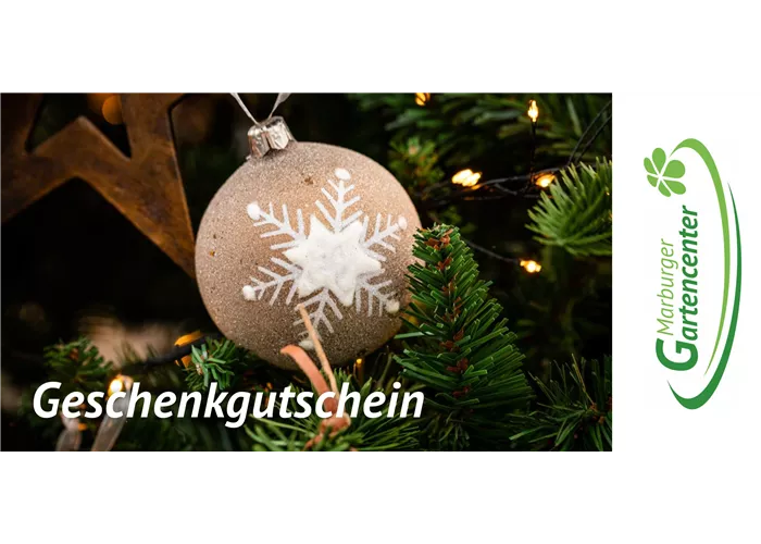 Online Gutschein - Weihnachtsmotive