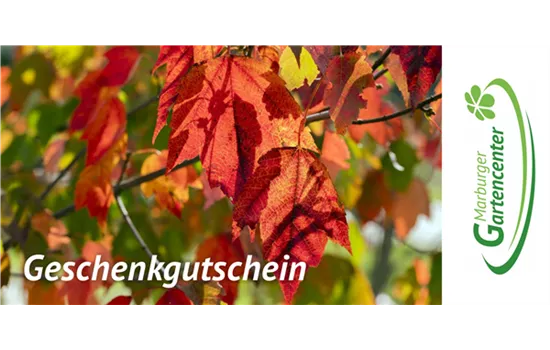 Online Gutschein - Herbstmotive
