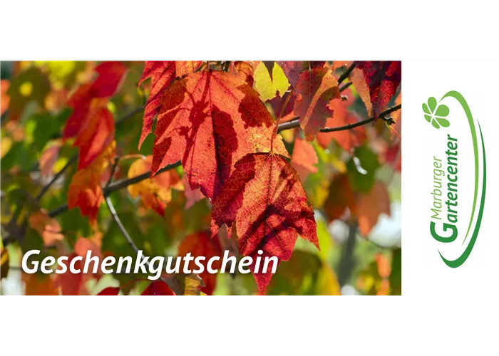 Online Gutschein - Herbstmotive