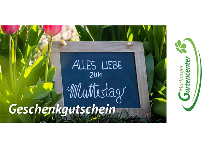 Online Gutschein - Besondere Anlässe