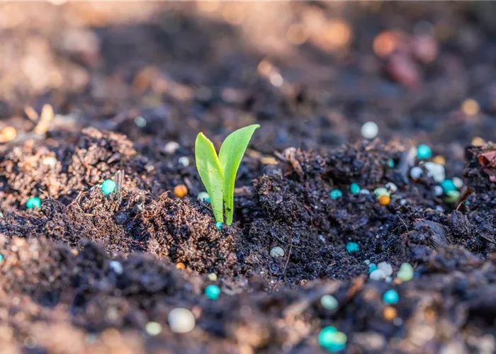 Dünger & Bodenhilfsstoffe