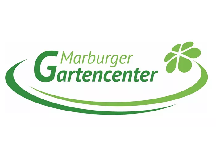 Rotfichte (picea abies)